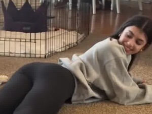 A girl plays with a dog 2