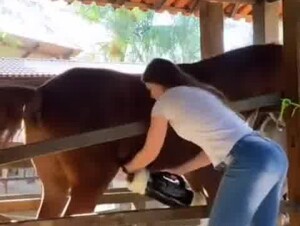 does good to his horse