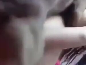 My dog wants it all