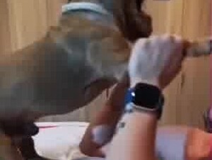 suck