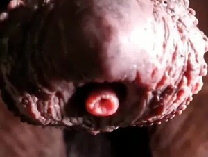 Horse cock dripping precum + slow motion