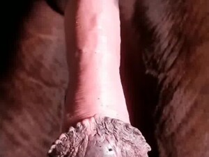Thumb 7