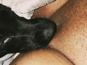 Licking