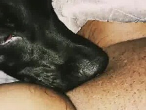 Thumb 6