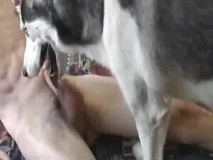 Thumb 3