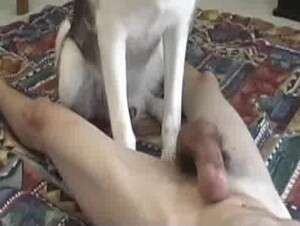 Thumb 4