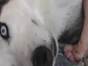 Thumb 8