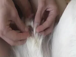 Thumb 9