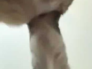 Thumb 6