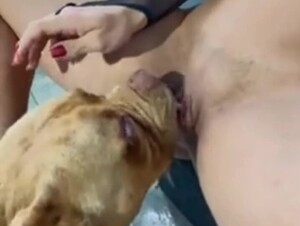 Luna licking