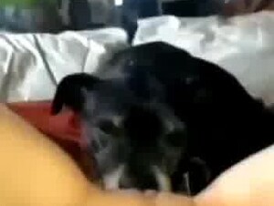 Thumb 7