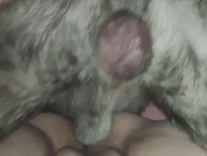 Thumb 6
