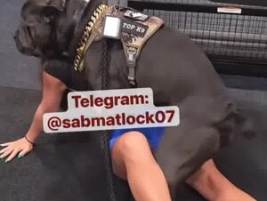 Getting gotta ready for my k9
