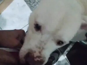 Thumb 7