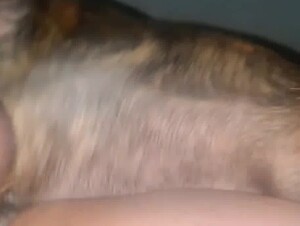 Thumb 10