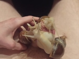 cuming with snails