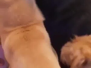 Thumb 7