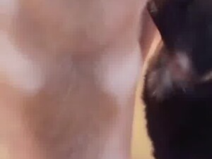 Thumb 9