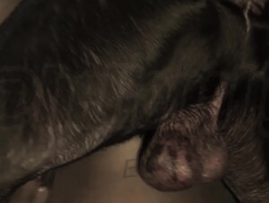 Thumb 8