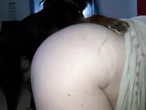 Fat girl letting her dog fuck her
