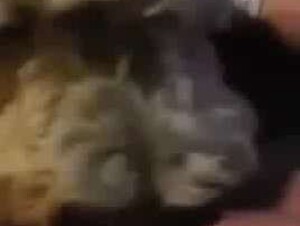 Thumb 9