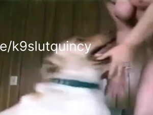 My pet