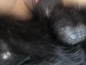 Thumb 6