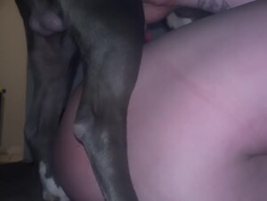 Dog Lover Milf