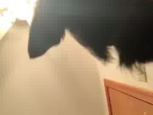 Thumb 7
