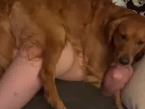 the dog helps the girl 2