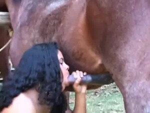 bite de cheval