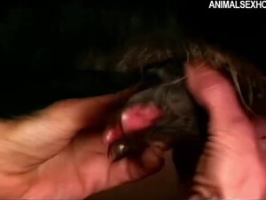 The little dogs teatime - part 2/2