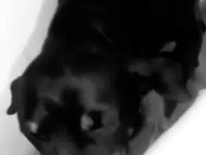Thumb 9