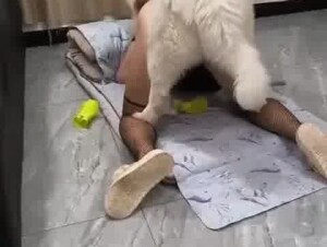Cockolding husband watching his wife