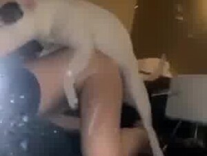 Hi guys my friends dog fucked me 💦😋