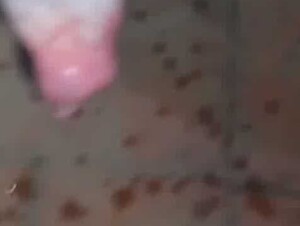 Alexis Rivera pasa horas frotándose con el perro