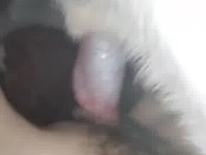 Thumb 10