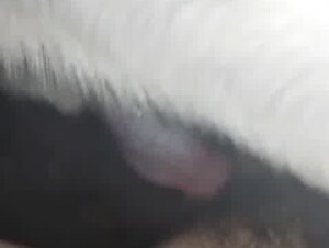 Thumb 8