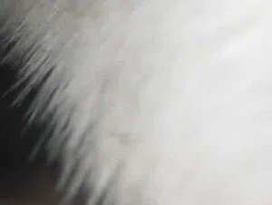 Thumb 9