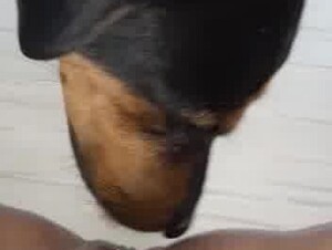 Thumb 6