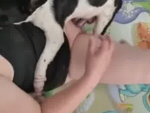 CHinese husband watch dog inside wife