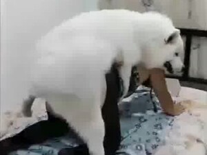 Fk! Fk! My AAAASS