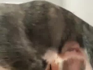 Thumb 6
