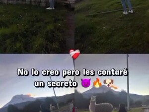 Un edit rico