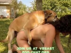 become a dog sex model