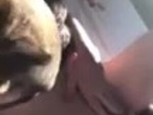 Doggo