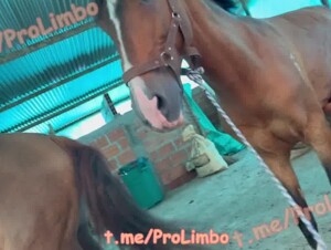 Thumb 10