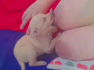 Thumb 10