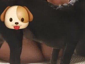 Thumb 10