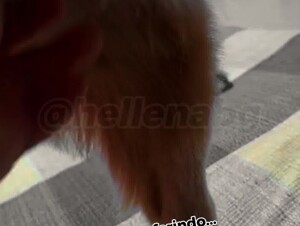 doguinho da irmã